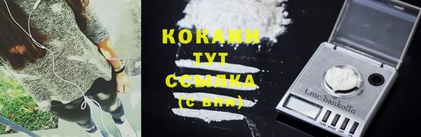 ECSTASY Майский
