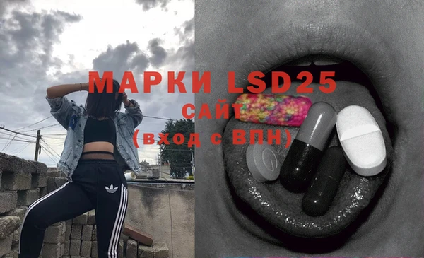 ECSTASY Майский