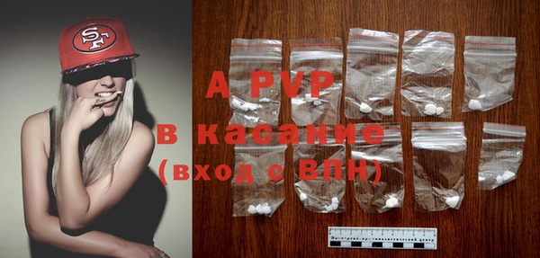 ECSTASY Майский