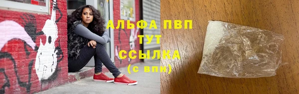 ECSTASY Майский