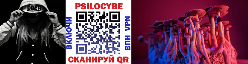 Псилоцибиновые грибы ЛСД Ахтырский
