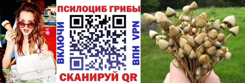 магазин  наркотиков  ссылка на мегу ССЫЛКА  Псилоцибиновые грибы Psilocybine cubensis  Ахтырский 